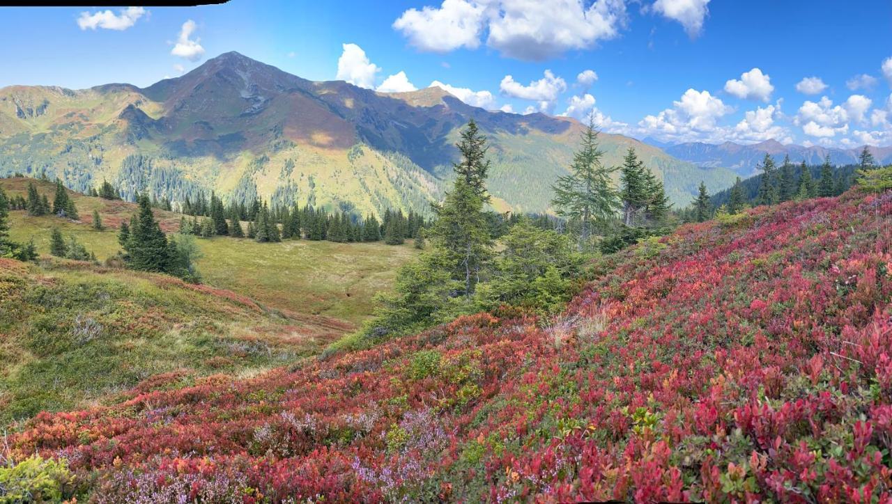 Alpengasthof Grobbauer Rottenmann Bagian luar foto